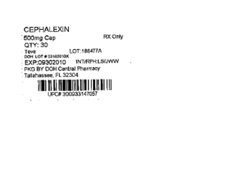 Cephalexin